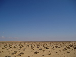 photo of desert